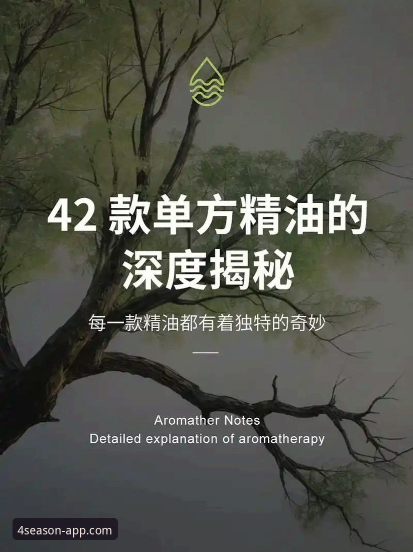 四季体育平台正规性深度揭秘：移动体验背后的创新与真相