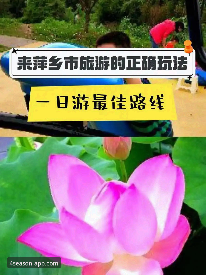 四季体育官网手机版入口必备 四季体育官网手机版入口必备:移动端App与手机版网页的区别,哪个更适合你?