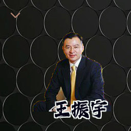 王振宇